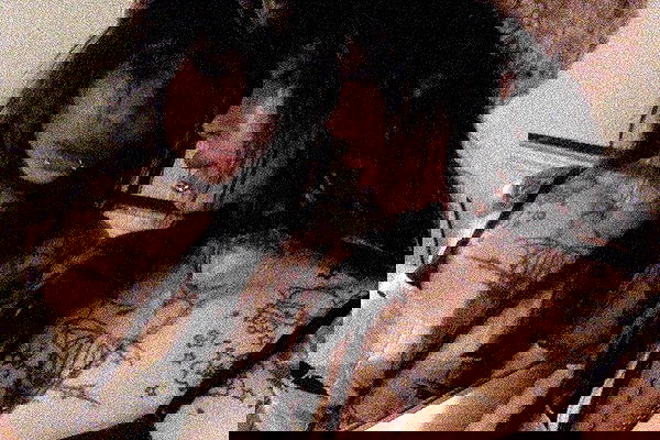 zommmbri image ~ Altpins