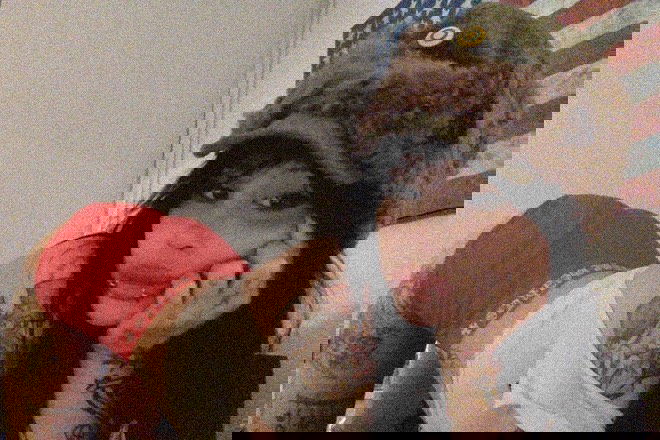 zommmbri instagram image archive image