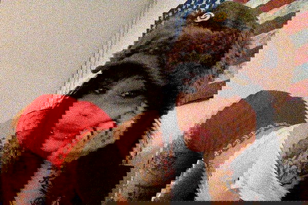 zommmbri image ~ Altpins