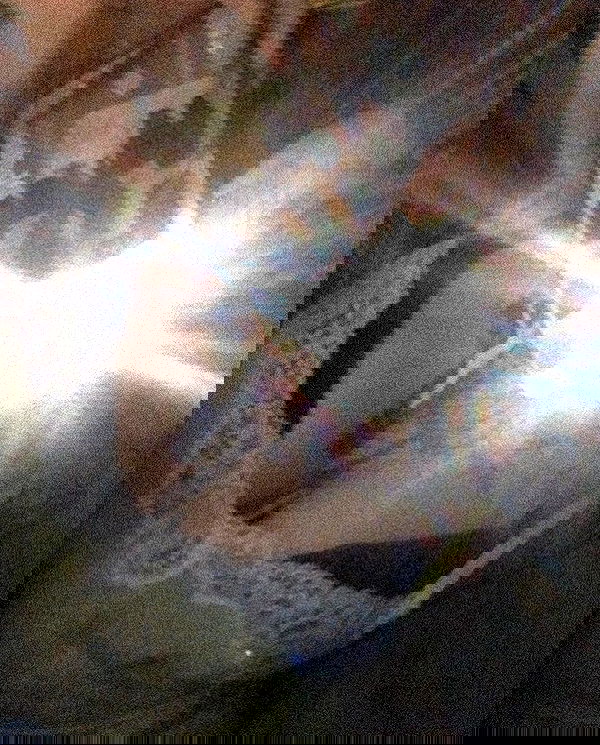 zommmbri image ~ Altpins