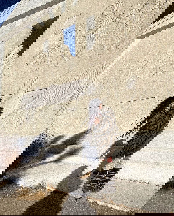 zommmbri image ~ Altpins