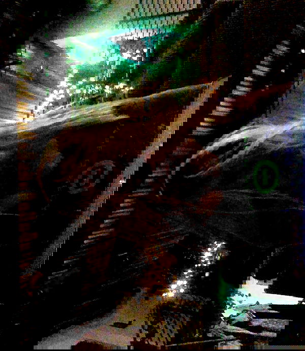 zommmbri image ~ Altpins