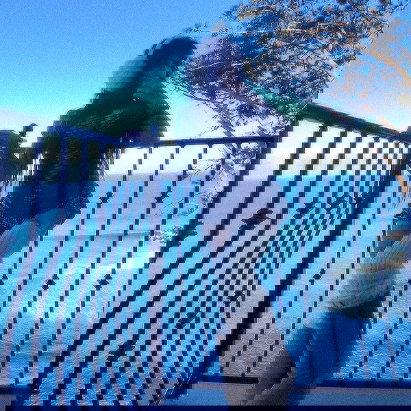 zommmbri image ~ Altpins