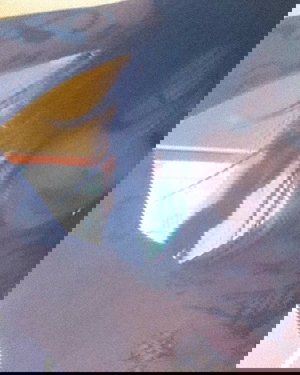 zommmbri image ~ Altpins