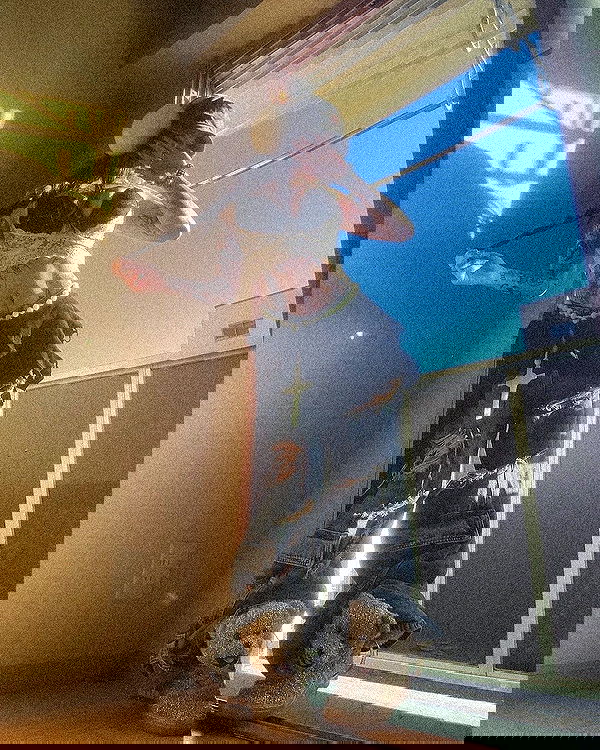 zommmbri image ~ Altpins