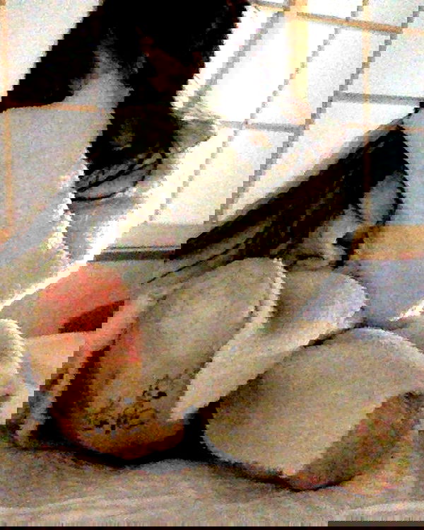 zommmbri image ~ Altpins