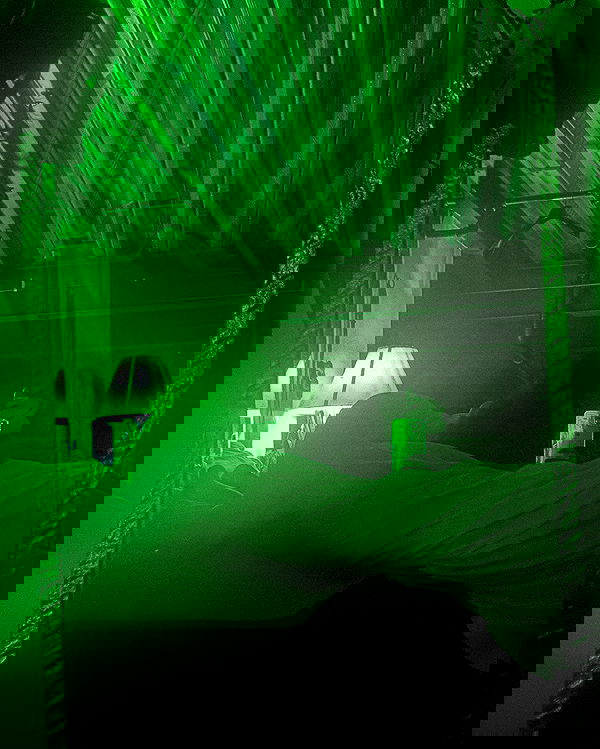 zommmbri image ~ Altpins