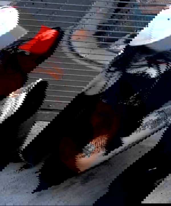 zommmbri image ~ Altpins