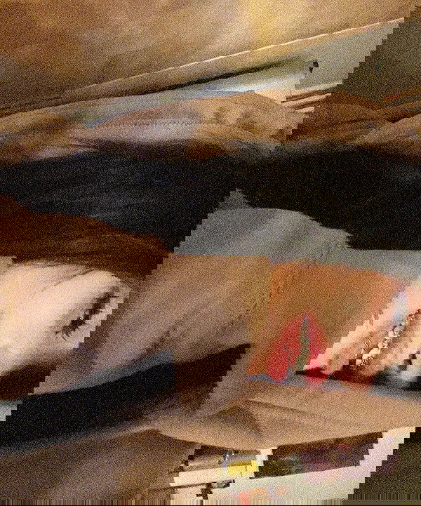 zommmbri image ~ Altpins