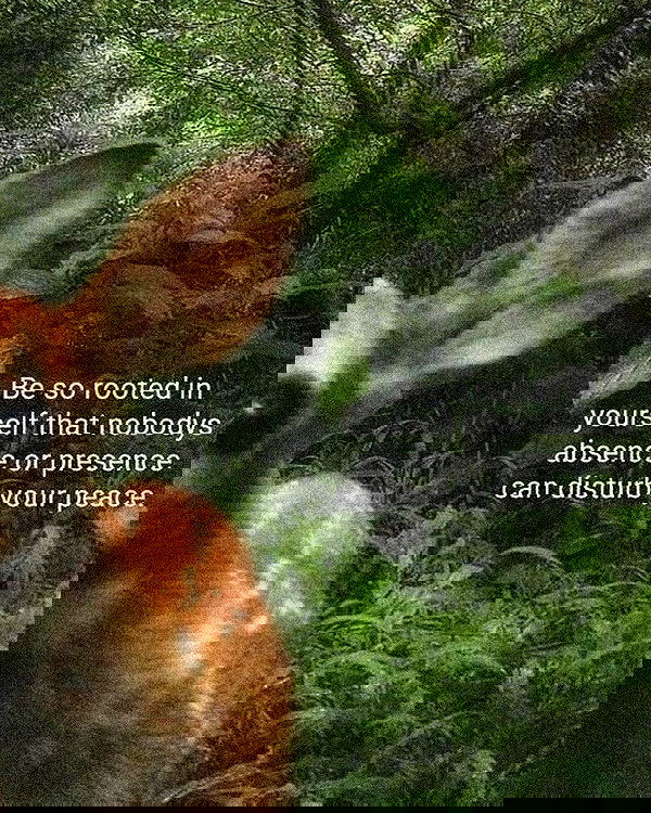 zommmbri image ~ Altpins