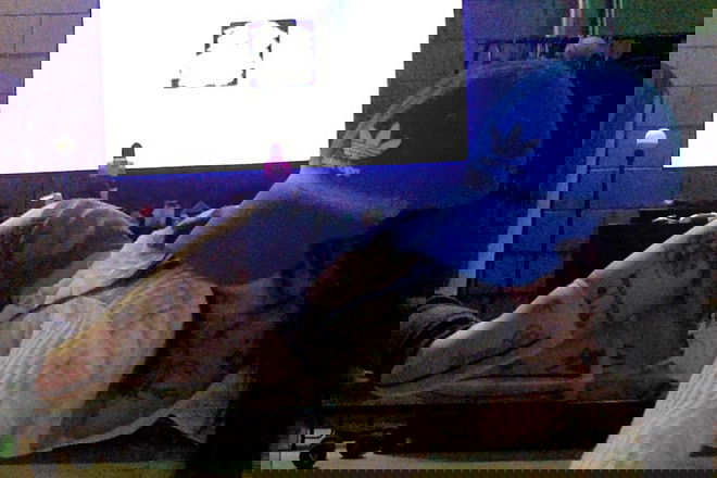 zommmbri instagram image archive image