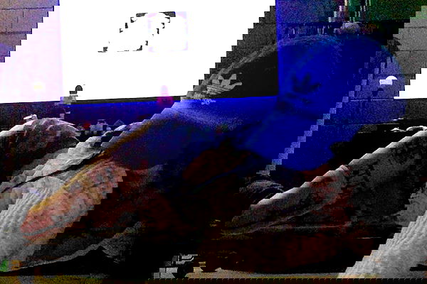 zommmbri image ~ Altpins