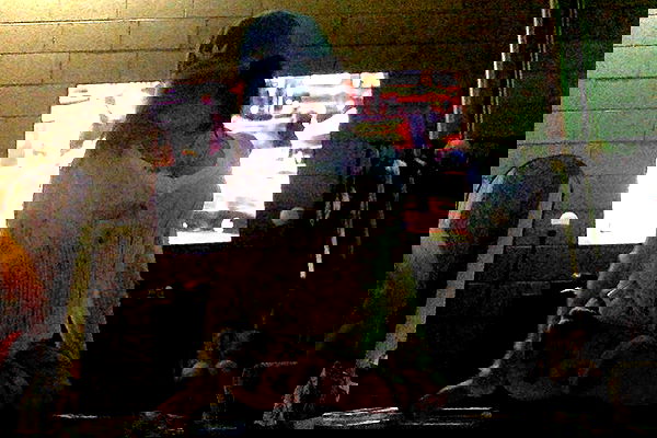 zommmbri image ~ Altpins