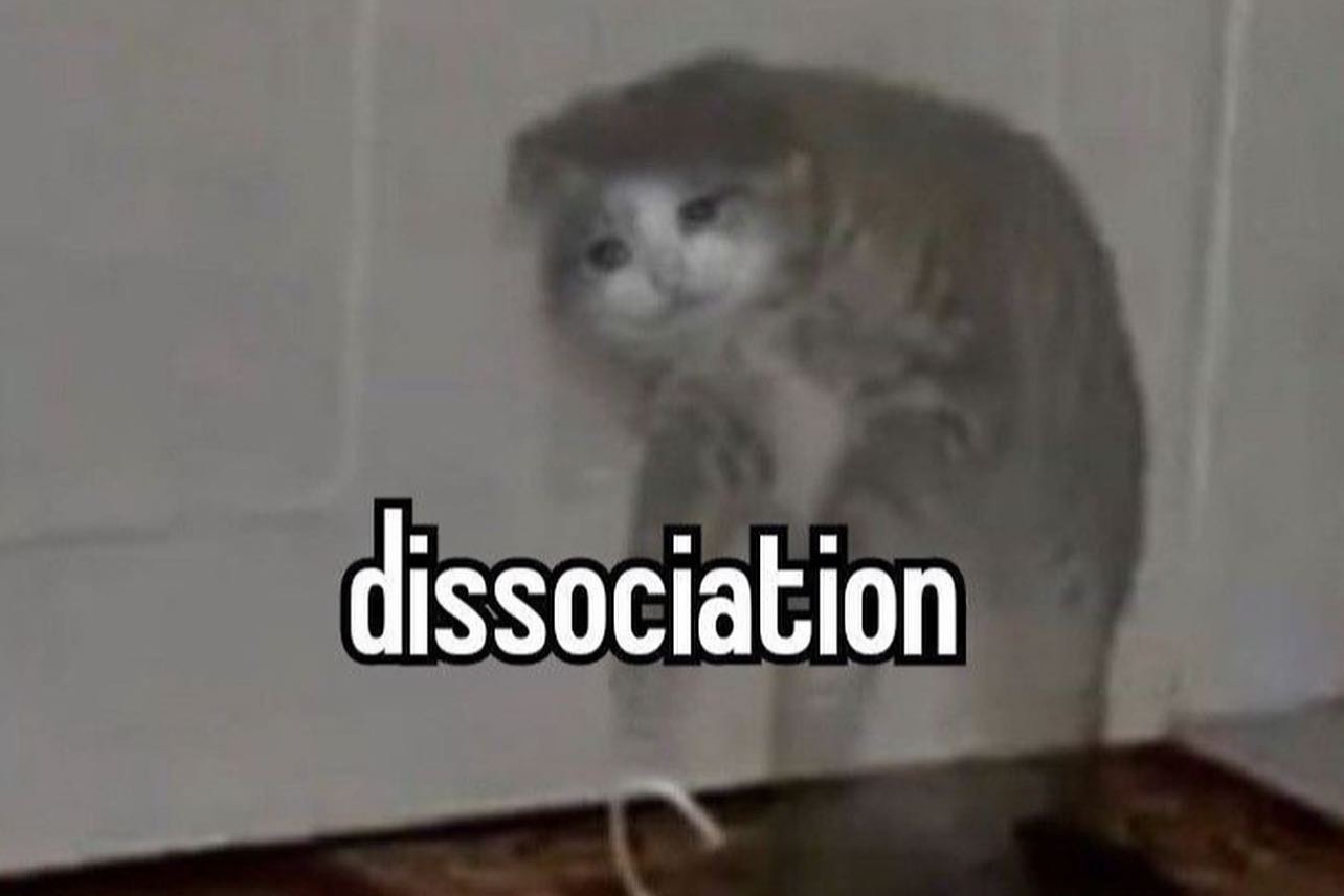 zommmbri instagram image archive image