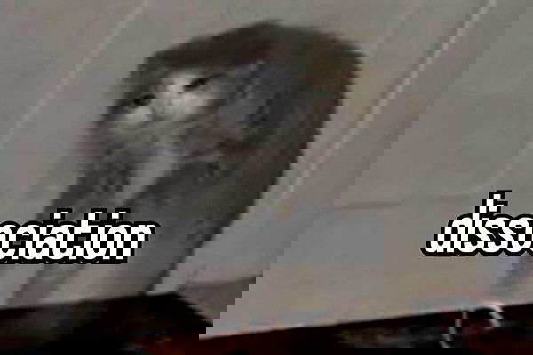 zommmbri image ~ Altpins