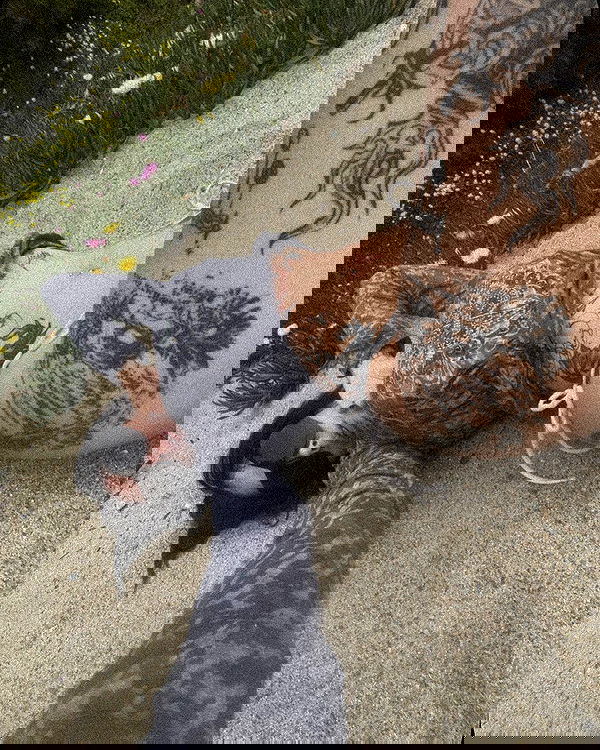 zommmbri image ~ Altpins