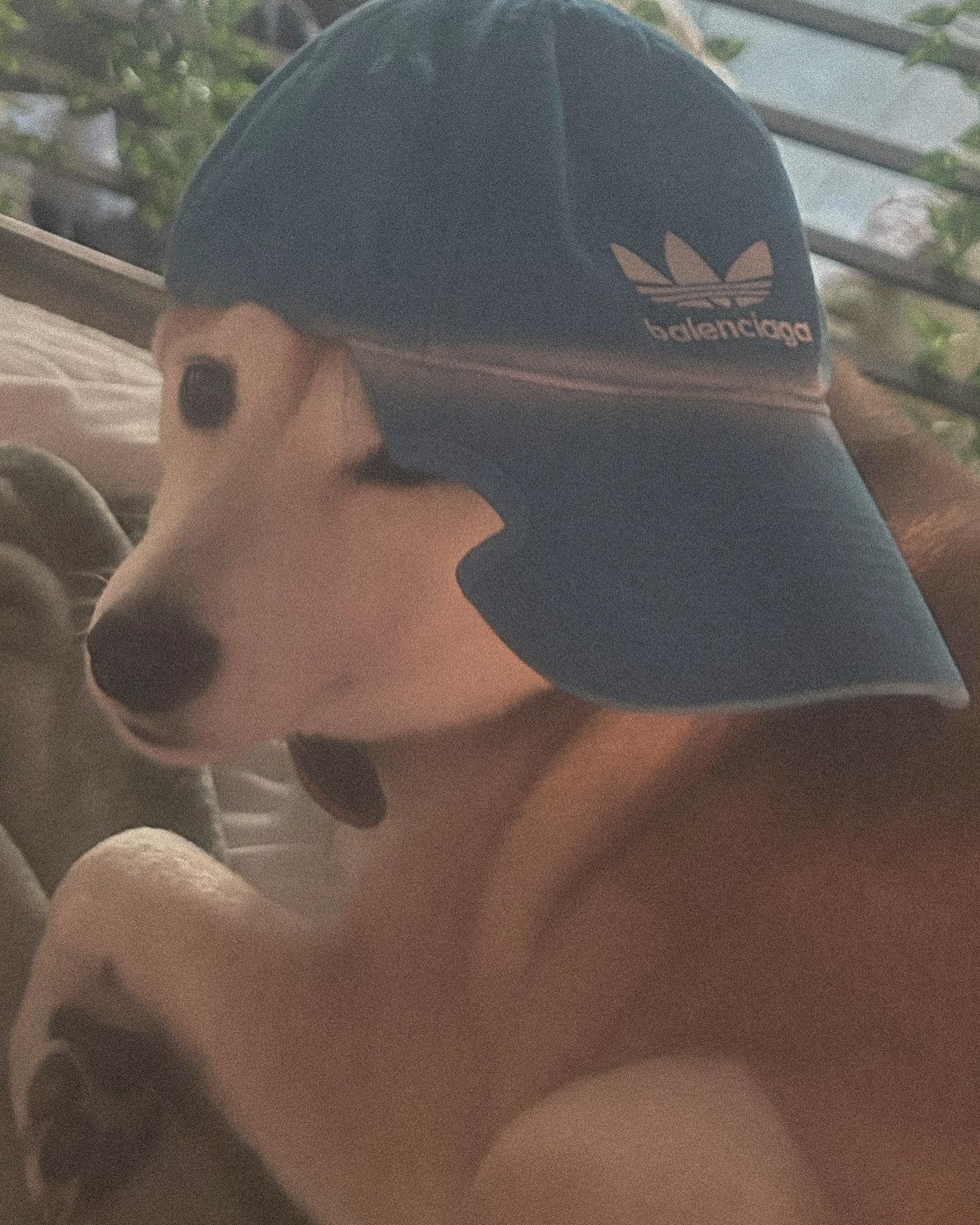 zommmbri instagram image archive image