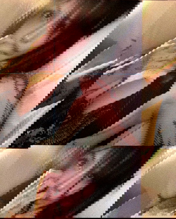 zommmbri image ~ Altpins