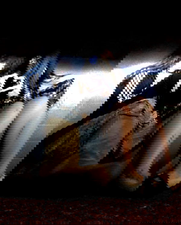 zommmbri image ~ Altpins