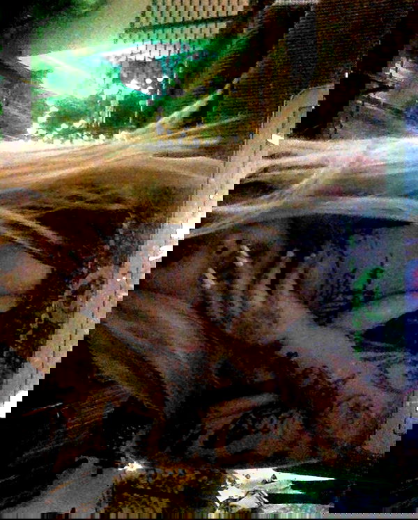 zommmbri image ~ Altpins