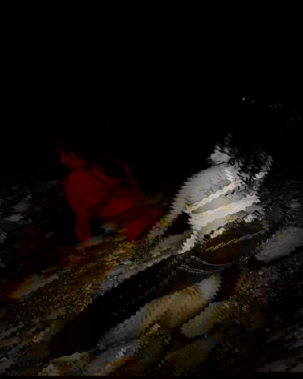 zommmbri image ~ Altpins