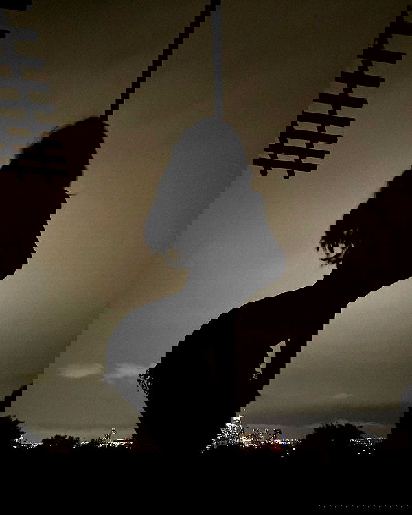 zommmbri image ~ Altpins