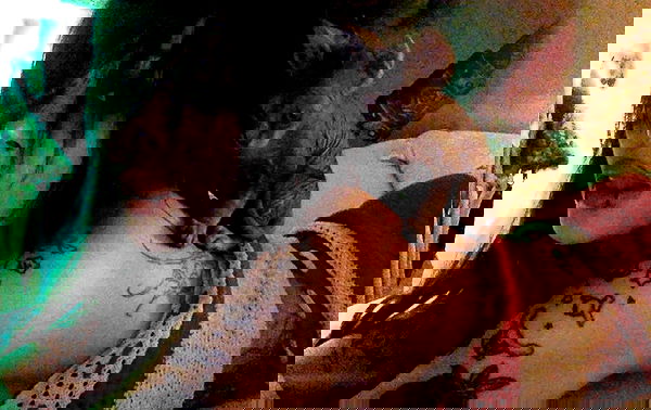 zommmbri image ~ Altpins