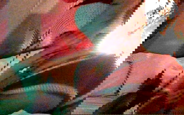 zommmbri image ~ Altpins