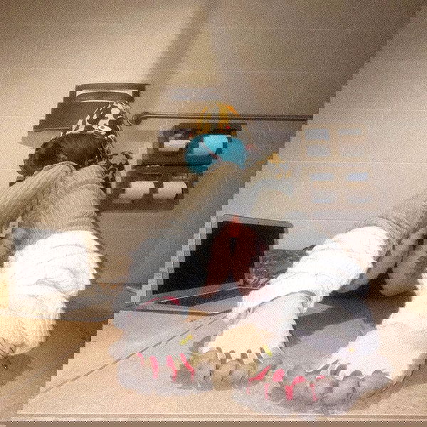 zommmbri image ~ Altpins