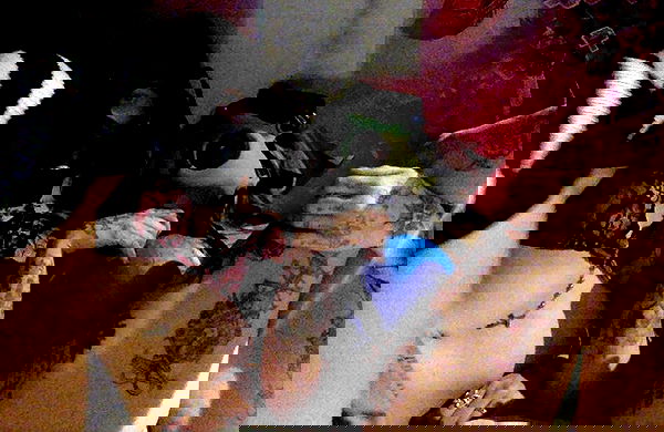 zommmbri image ~ Altpins