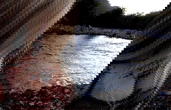 zommmbri image ~ Altpins