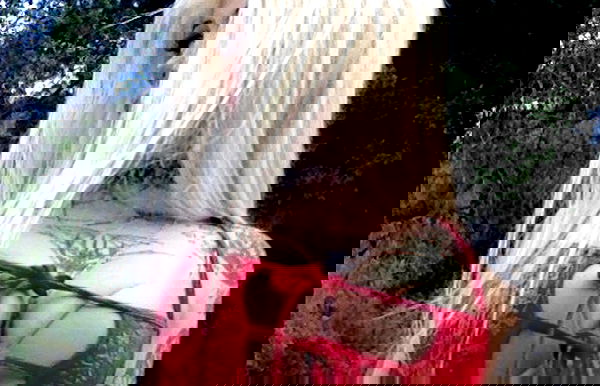 zommmbri image ~ Altpins