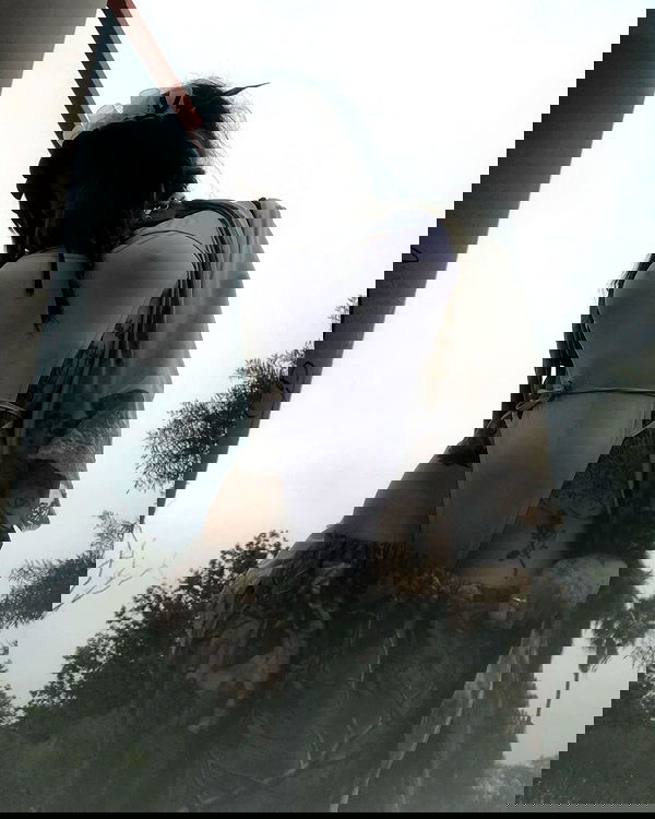 zommmbri image ~ Altpins