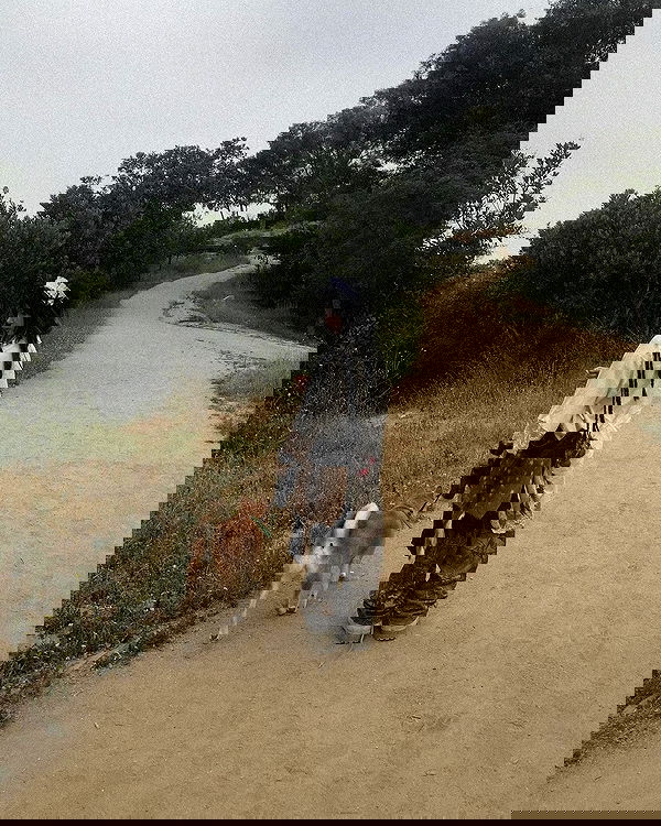 zommmbri image ~ Altpins