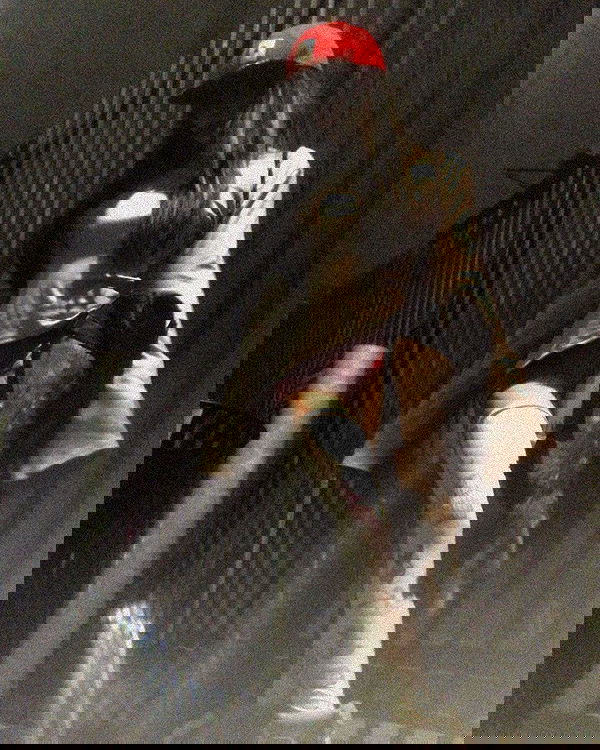 zommmbri image ~ Altpins