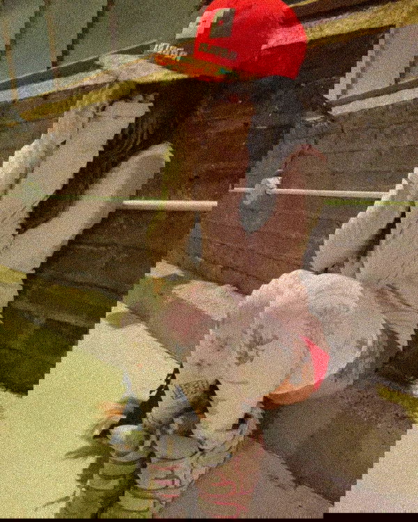 zommmbri image ~ Altpins