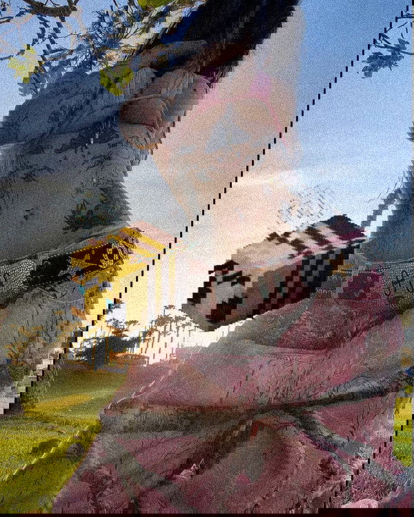 zommmbri image ~ Altpins