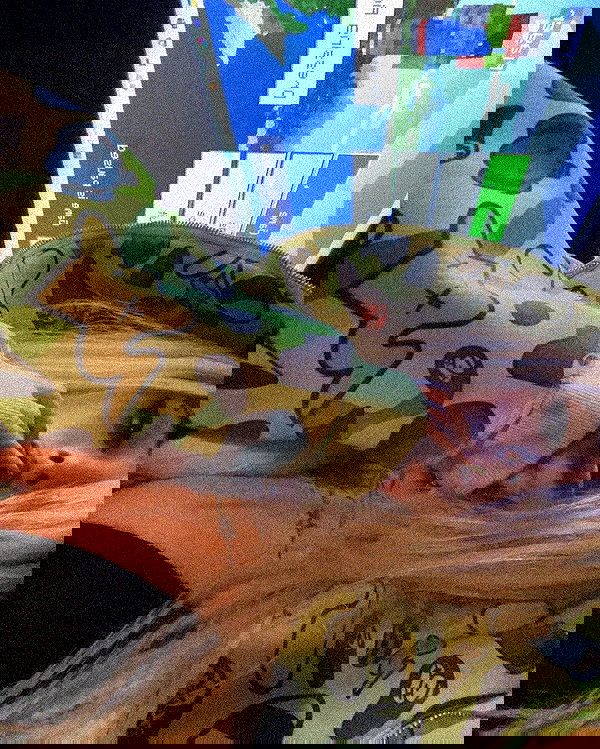 zommmbri image ~ Altpins