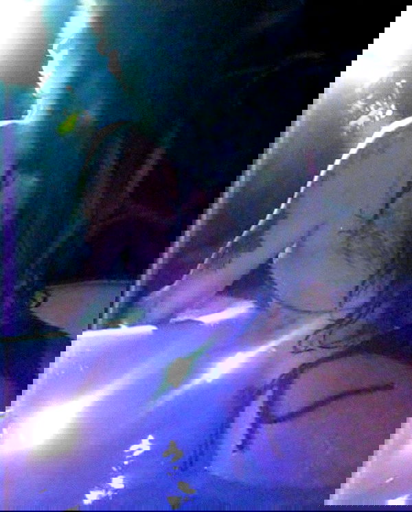 zommmbri image ~ Altpins