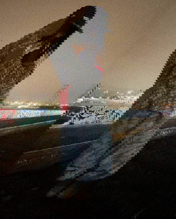 zommmbri image ~ Altpins