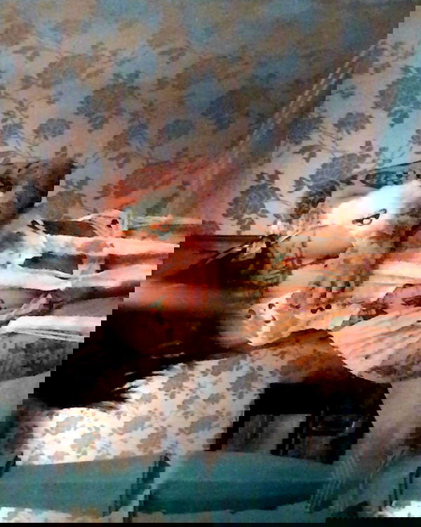 zommmbri image ~ Altpins