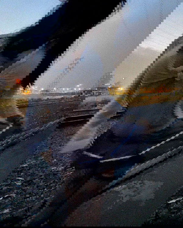 zommmbri image ~ Altpins