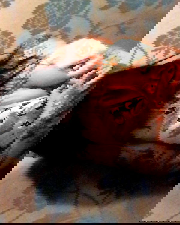 zommmbri image ~ Altpins