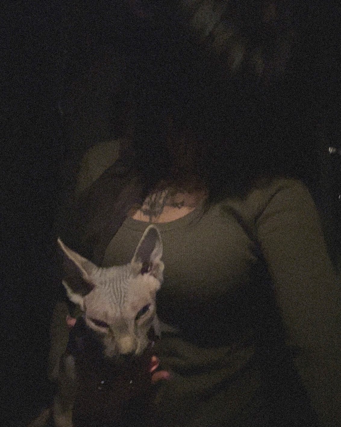 zommmbri instagram image archive image