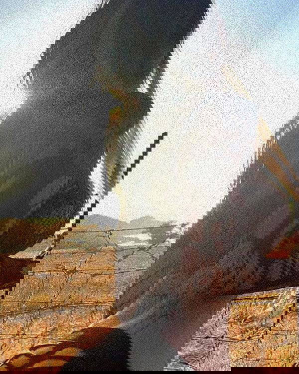 zommmbri image ~ Altpins