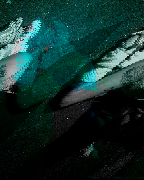 zommmbri image ~ Altpins