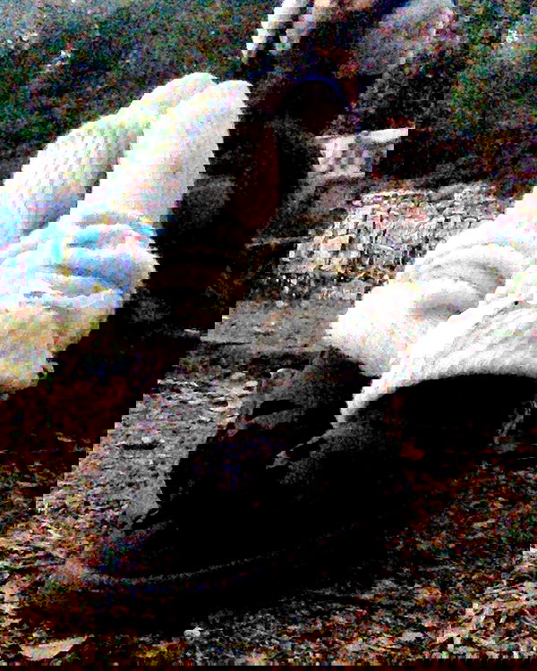 zommmbri image ~ Altpins