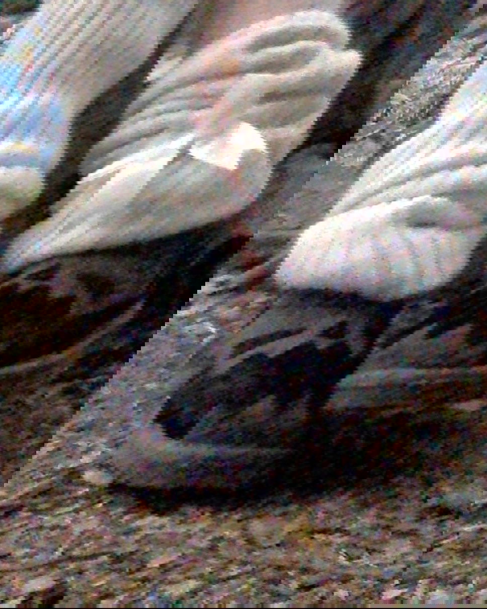 zommmbri instagram image archive image