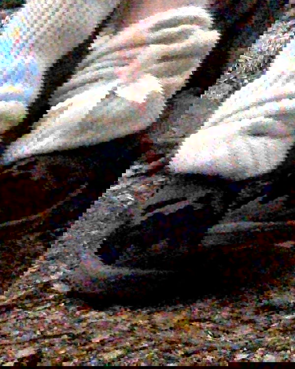 zommmbri image ~ Altpins