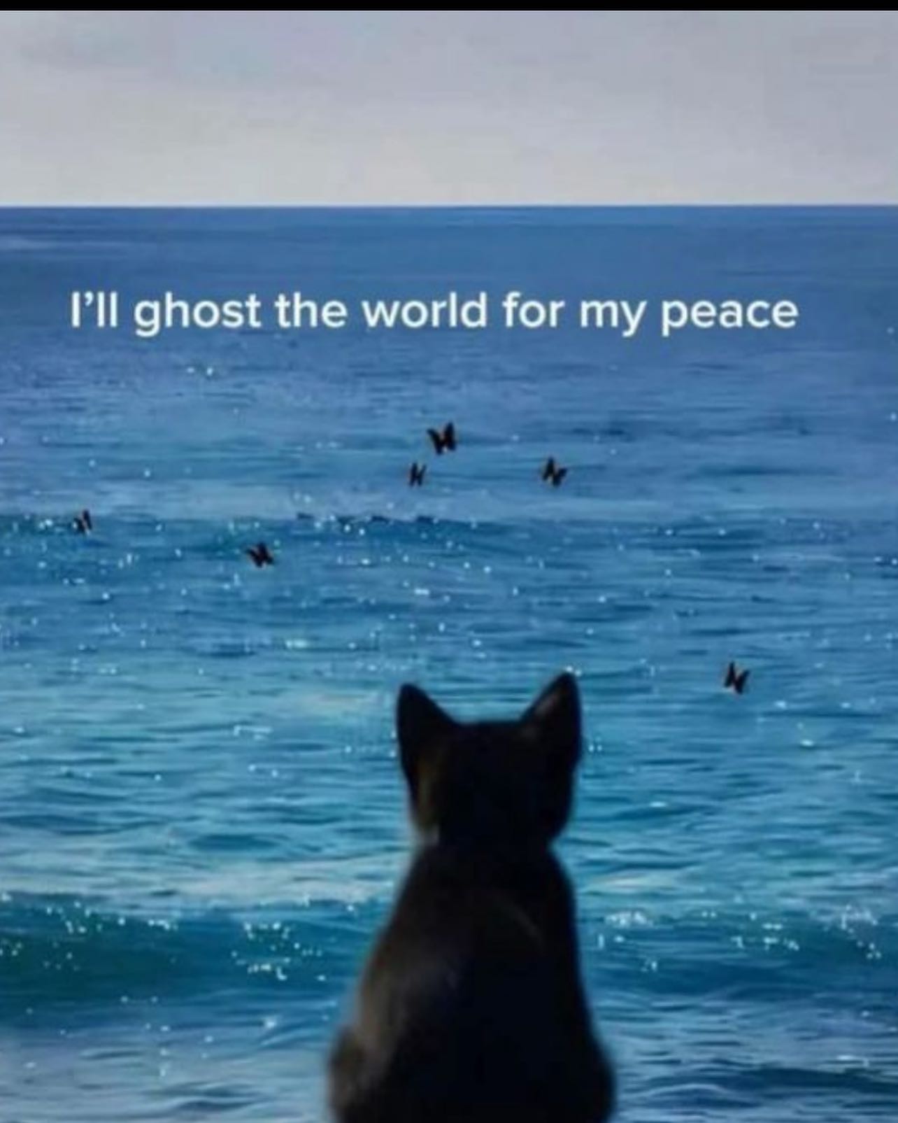 zommmbri instagram image archive image